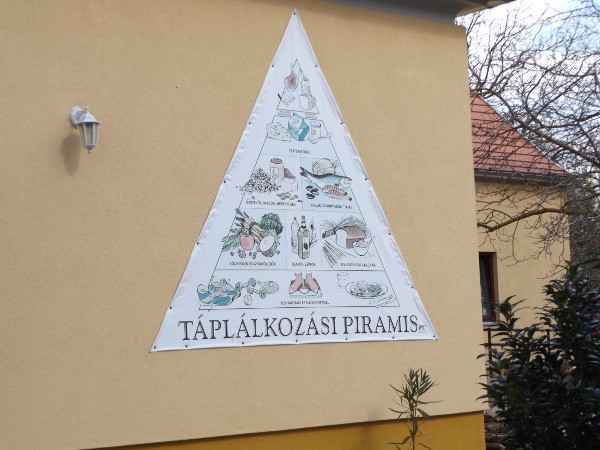 Táplálkozási piramis